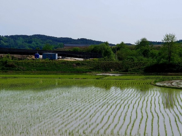 [크기변환]01- 강천면 기상이변 대비 적기 모내기 적극 홍보 (1).jpg