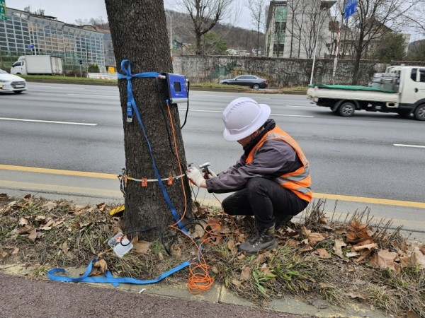 과천시, 가로수 위험성 평가 진행 모습1.JPG