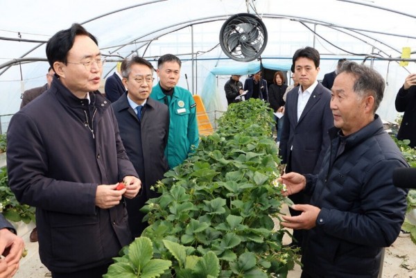 윤병태 시장이 지난 3월 8일 남평읍, 세지면 지역 딸기·멜론 재배 농가를 방문해 일조량 부족에 따른 농작물 피해 현황을 점검하고 있다1.jpg