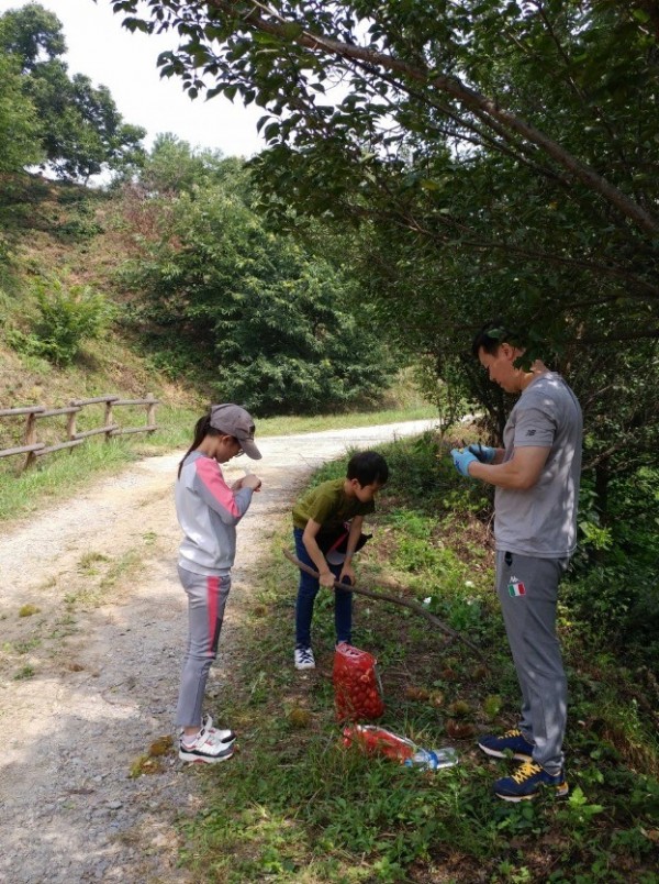 녹색 산촌 체험 알밤 줍기 행사 사진.jpg