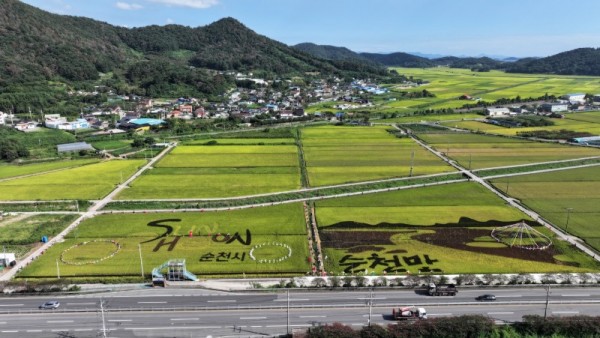 6 순천시 별량면, 허수아비 전시로 황금빛 가을을 맞이하다 (3).JPG