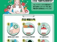 5-1.목포시, 추석 연휴 감염병 예방수칙 준수 당부.jpg