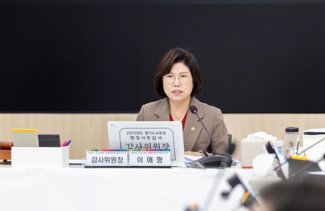 경기도의회 이애형 의원