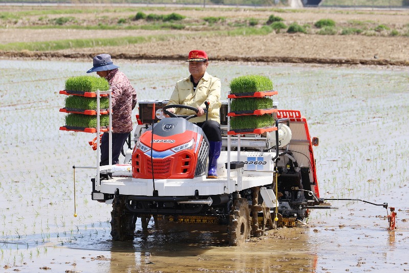 2. 동해시, 우렁이 공급 “친환경쌀 품질 높인다“ (2).jpg