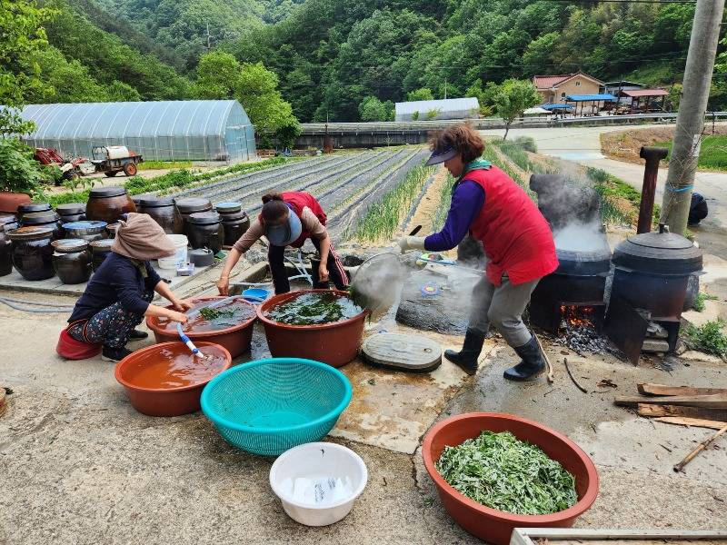 강릉쌀로 만든 ‘단오떡’ 맛보고 풍성한 단오 행사 즐기세요(준비과정).jpg