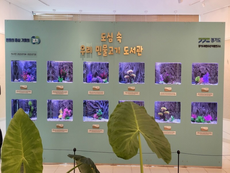 3.고양 화정도서관 ‘도심 속 민물고기 이동도서관’ 운영.jpg