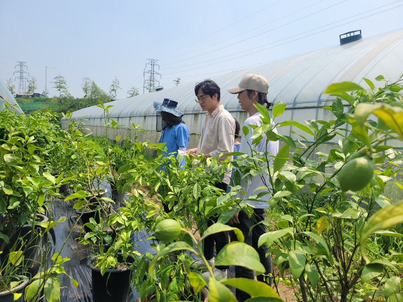 2-2 김포시농업기술센터 원예특작분야 실증시험 중간점검.jpg