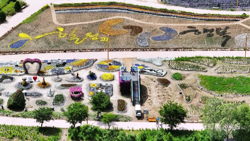 사진(지난해 열린 자라섬 꽃축제가 올해는 다양한 테마로 조성돼 자라섬의 가치를 높이게 된다).jpg