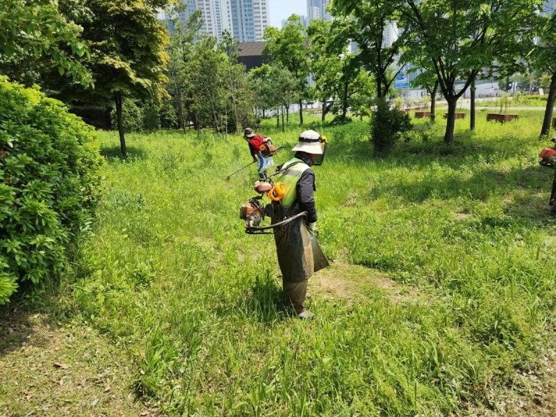 3.고양특례시, 일산서구 도시공원 녹지관리(2)제초작업.jpg