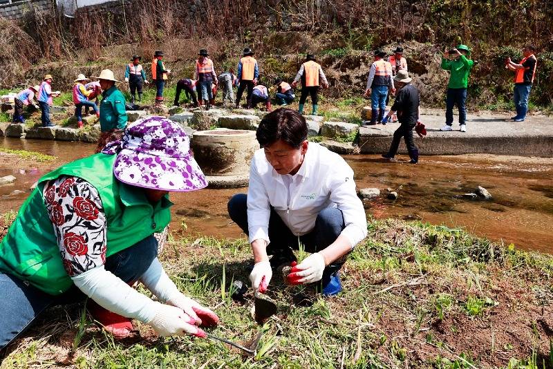 1-2. 보성군, 동윤촌 생태하천길에 탄소흡수원 꽃창포 11,000본 식재_(가운데 흰색상의) 김철우 보성군수가 호미를 들고 꽃창포 식재에 참여하고 있다.JPG