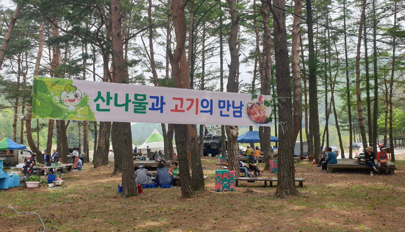 하장산나물 축제-1.png
