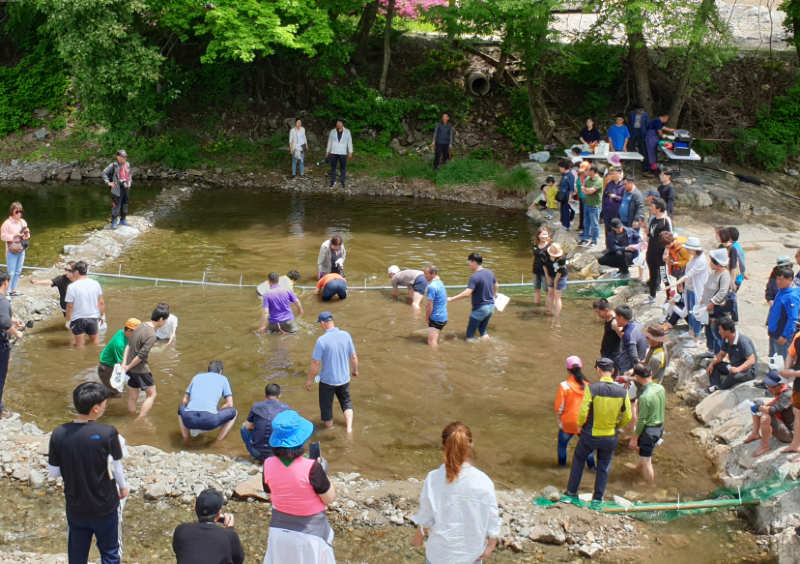 하장산나물 축제-2.png