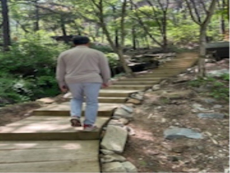 [크기변환]백족산 등산로 정비.jpg