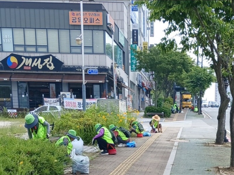 지역01-여주시 오학동 노인사회활동 참여 어르신, 가로 환경 가꾸기 1.jpg