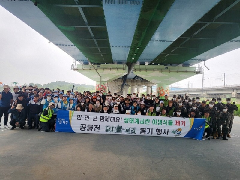 1.  파주시, 생물다양성의 날 맞아 생태계교란 야생식물 제거 활동 실시(2).jpg