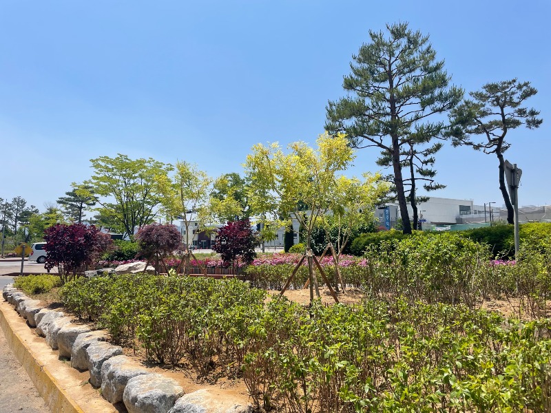 240528 충주를 푸르게 충주시, 정원도시 조성 순항 (충주역 앞 교차로 정원) (2).jpg