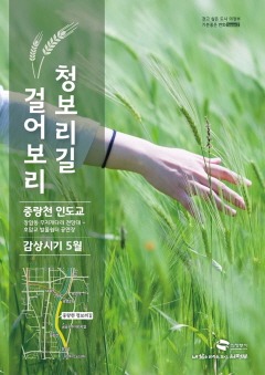4.생태하천과(의정부시, 중랑천 청보리길에서 버스킹공연도 즐기세요)2-포스터.jpg