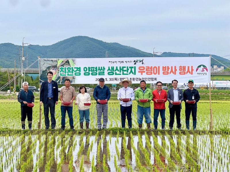 01 왕우렁이 방사 (1).jpg