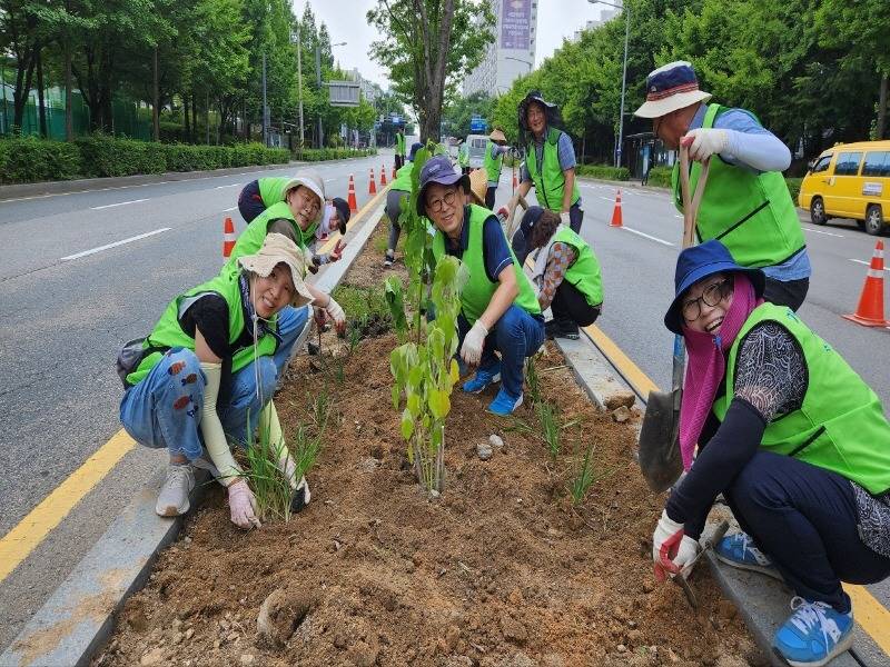 5. 수원시 가로수정원사봉사단, 화서동 중앙분리대에 가로수 녹지 조성.jpg