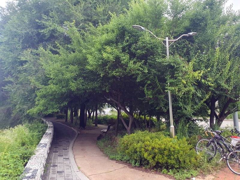 4.자원순환과(의정부시, 자원회수시설 소공원 가로등 LED로 전면 교체)1.jpg