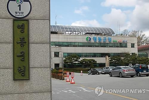 영동군청 전경.jpg