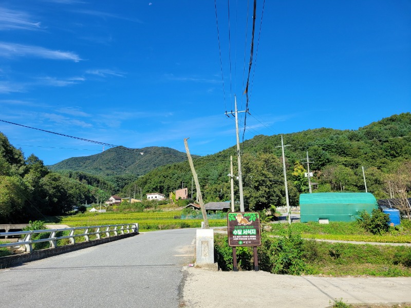 2. 아산시, 온양천 상류 수달보호 안내 간판 설치 (1).jpg