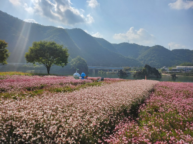 사본 -보도 1) 도담정원 (1).jpg