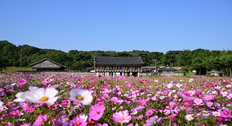 돈암서원 (1).JPG