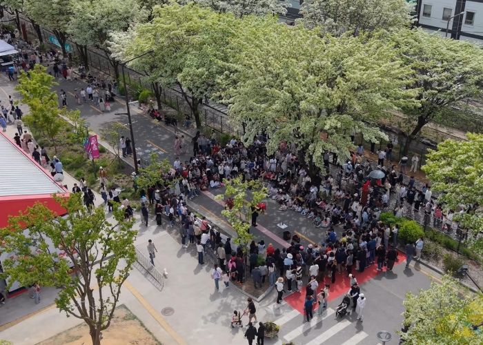 ‘전주 이팝나무 축제’, 전주시 대표 봄 축제로 자리매김