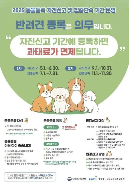 부산시 해운대구, 반려견 등록은 의무입니다
