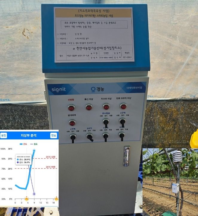 1. 천안시농업기술센터 성거입장지소가 포도 노지스마트팜 통합 모니터링을 추진한다.