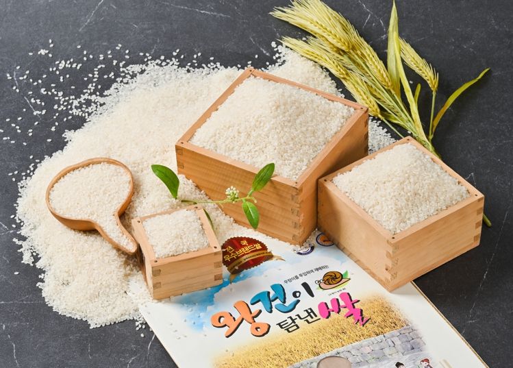 나주 왕건이탐낸쌀이 3년 연속 전남 10대 고품질 브랜드쌀에 선정됐다. 사진은 왕건이탐낸쌀. (사진제공-나주시)
