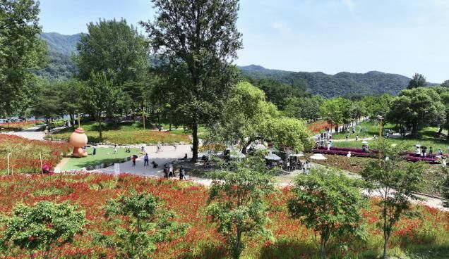 가평 ‘자라섬 꽃 페스타’… 16일 만에 10만명 돌파