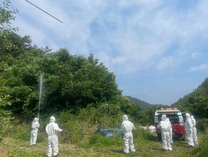  돌발해충 유관기관 협업공동방제 실시