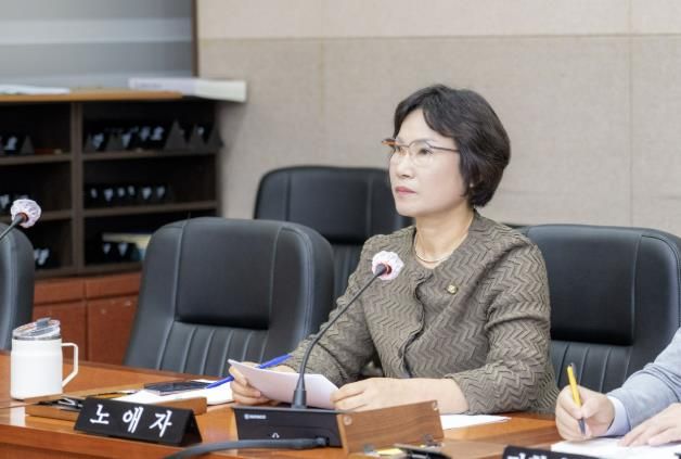 경제도시위원회 제2차회의에서 의원대표발의한 조례에 대해 발언하는 서울특별시 강남구의회 노애자 의원(사진=의원실 제공)