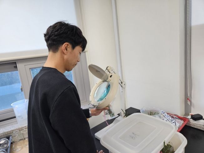꽃눈분화 검사