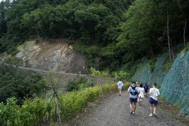 충주시, 계명산 임도 순환길 조성… 가을 숲속 힐링 명소로