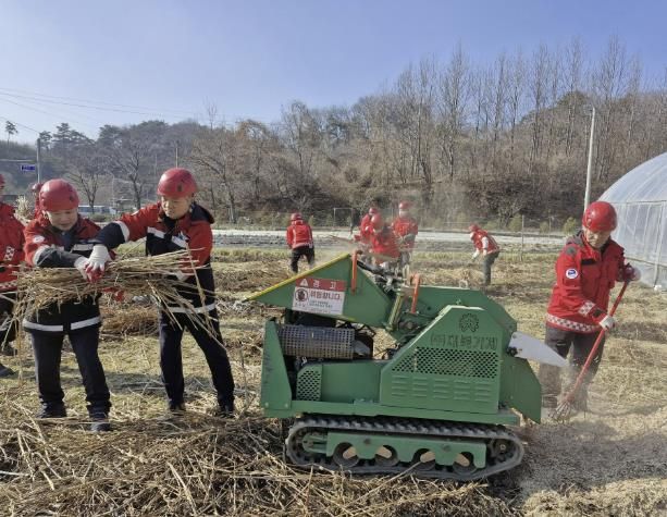영농부산물 파쇄현장 사진