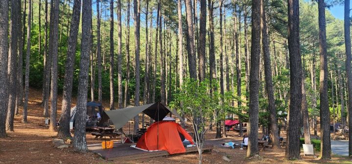 백운산자연휴양림, 금천계곡야영장, 구봉산숲속야영장 등 천혜의 자연 속 힐링명소 ‘눈길’