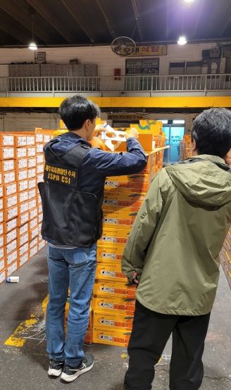 제주도, 전국 도매시장 단속 상품외감귤 2.1t 적발