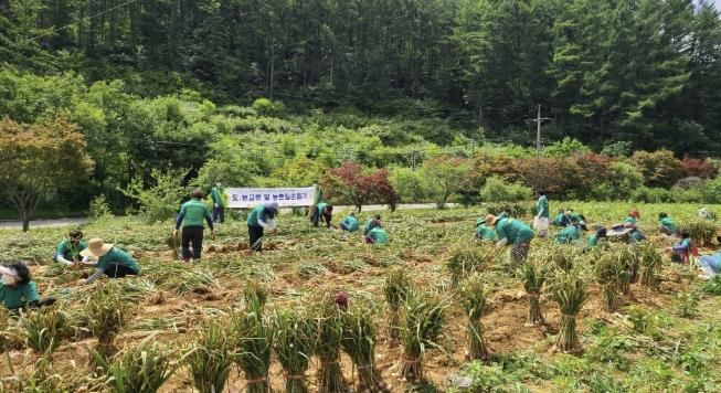 서울새마을부녀회 활동 사진