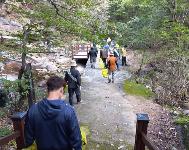 영동군, 물한계곡서 산사태·산불 예방 및 산지 정화 캠페인