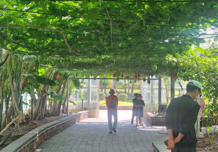 함평군 아열대농업관, 이색 체험으로 인기몰이!