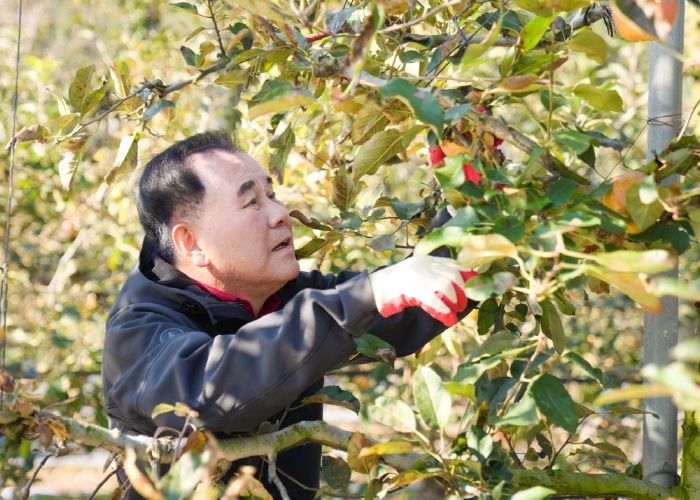 충남교육청 직원들, 예산 농가에 ‘가을의 손길’ 전하다