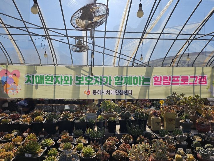 가을맞이 자연과 함께하는‘야외 힐링프로그램’운영