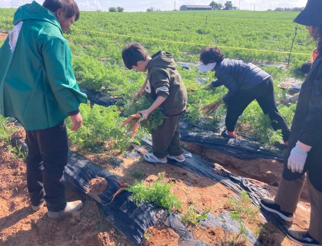 지난 1일 황토체험장에서 진행된 ‘제2회 황토야놀자 팜파티’