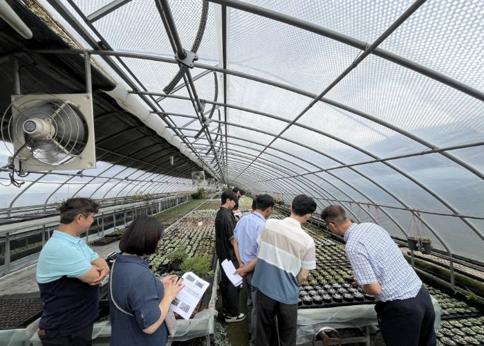 농업기술센터 실증온실에서 커피박과 우분을 혼합한 퇴비 시용 실험이 진행되고 있다.