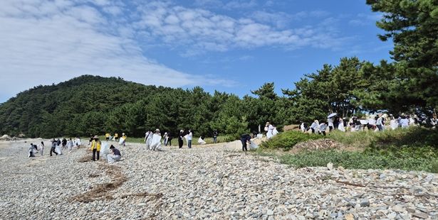 해안가 정화활동 사진