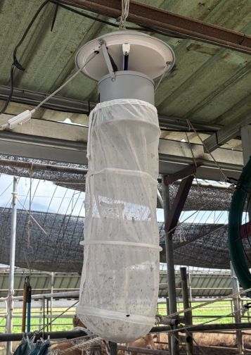 충북보건환경연구원, 일본뇌염바이러스 등 플라비바이러스 병원체 5종 불검출