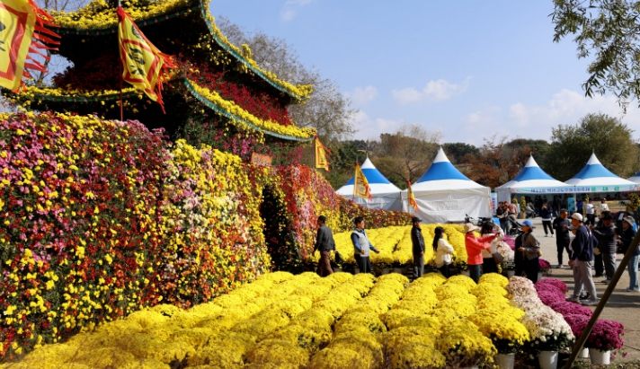 제22회 백제고도부여국화축제